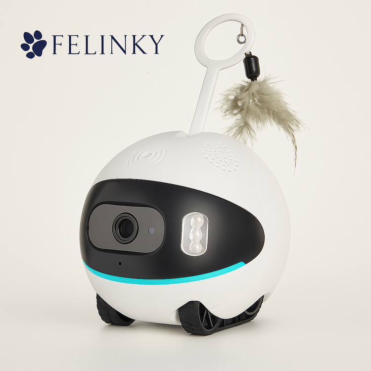 Les Robots & Caméras Compagnon