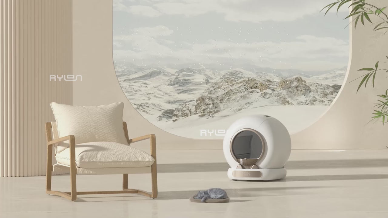 Charger la vidéo : 